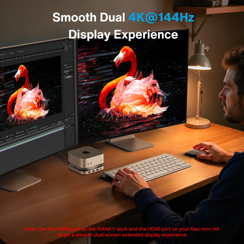 IVANKY 13-in-1 Mac mini M4 &M4 Pro (2024) Dock, 4K@144Hz HDMI,10Gbps USB | Dual Extended Displays Docking Station Stand for M5, with M.2 NVMe SSD Enclosure Hub, SD/TF, Audio Ports*2, 20W PD Adapter*1 Sliver Standard-Speed