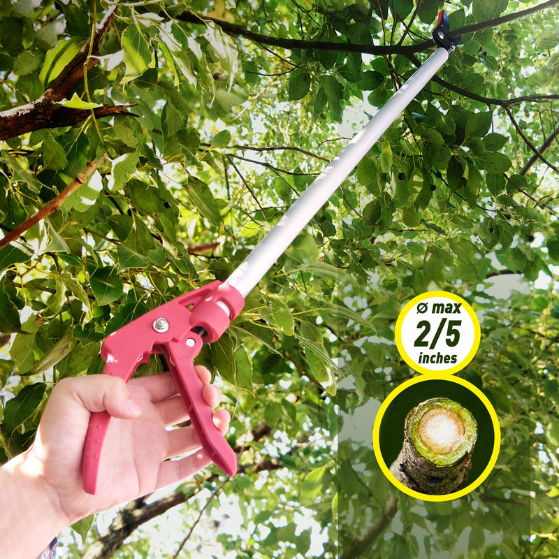 Altdorff Cut and Hold Pruner Set, Lightweight 32-Inch Long Reach Pruner One-Handed Operation, Hold Long Reach Cut Rotating, 8.3" Hand Pruner for Branch Pruning, Fruit Picking, Prickly Plants & Roses Modern