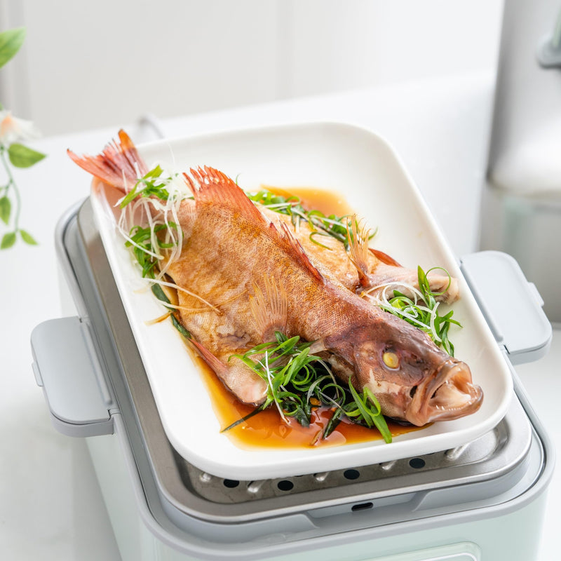 BUYDEEM CT1004 Ceramic Plate 11 inch, Suitable for G52 G553 G563 G67 Food Steamer, White