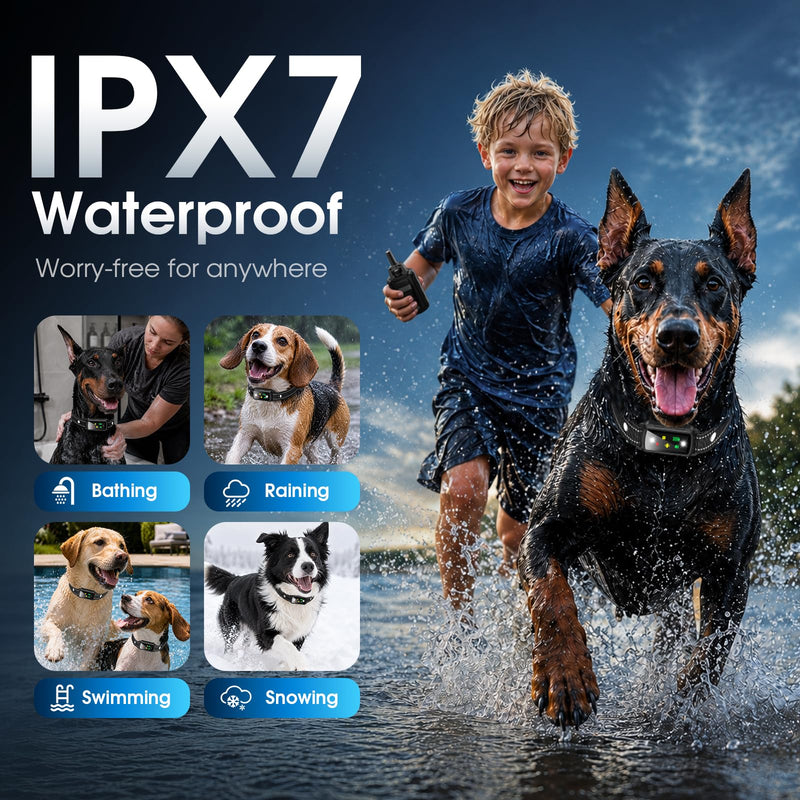 Military Dog Shock Collar 2 Dogs, 4200ft Dog Training Collar with Remote, IPX7 Waterproof Electric Dog Collar with 3 Training Modes, LED Lights & Security Lock, Rechargeable eCollar for 5-120lbs Dogs Black