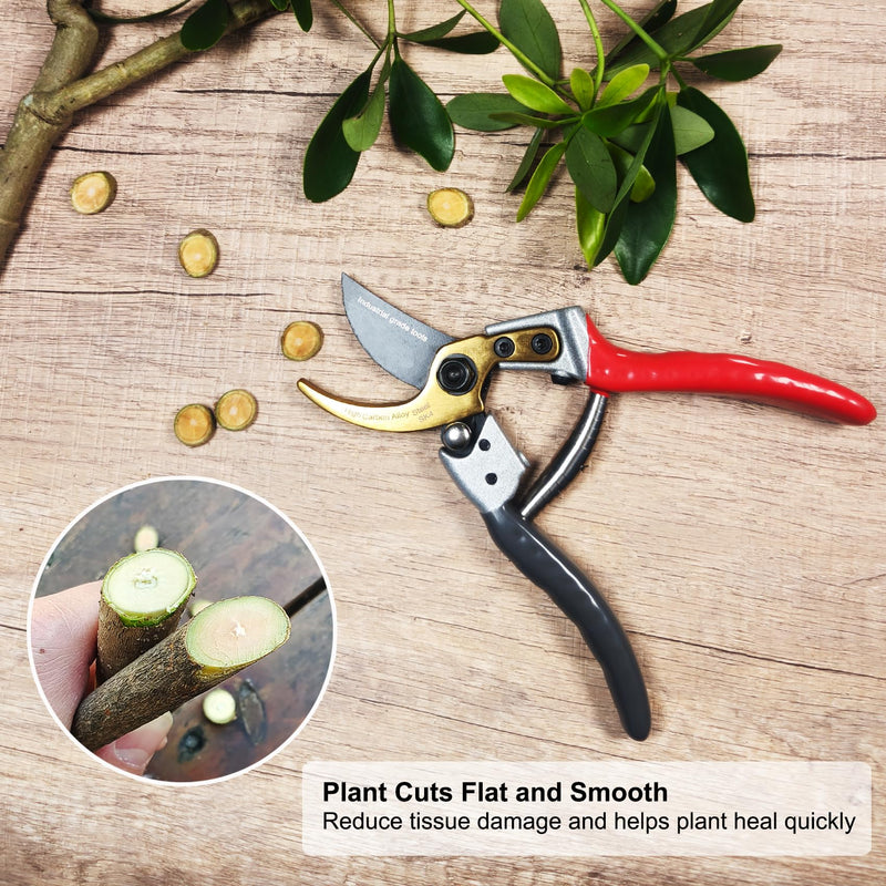 TONMA Bypass Pruning Shears [Made in Japan] 8 Inch Heavy Duty Garden Shears for Gardening, Professional Hand Pruners Garden Clippers with Japanese SK4 Steel Blades, Ergonomic Non-Slip Grip Bypass Pruning Shears Heavy Duty