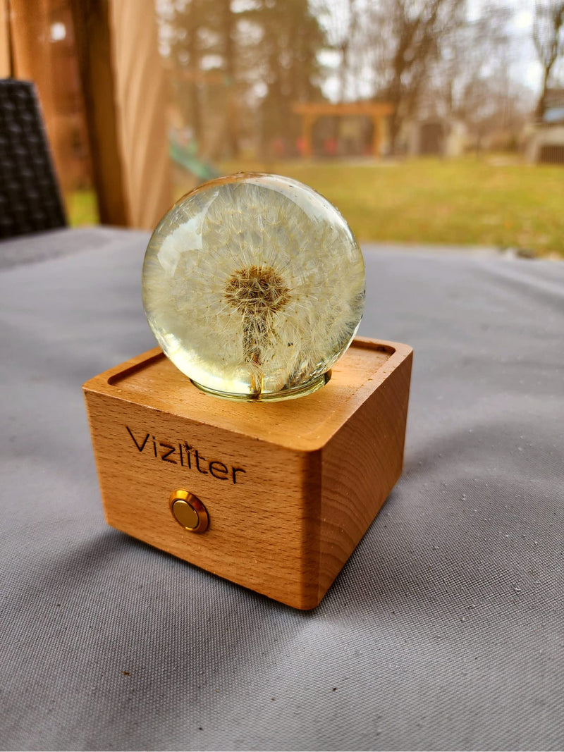 Vizliter Bluetooth Speaker Crystal Ball 65mm LED Lighting Premium Preserved Natural Flower with Wood Base Never Withered Eternal Night Light Audio Portable (Dandelion) Dandelion