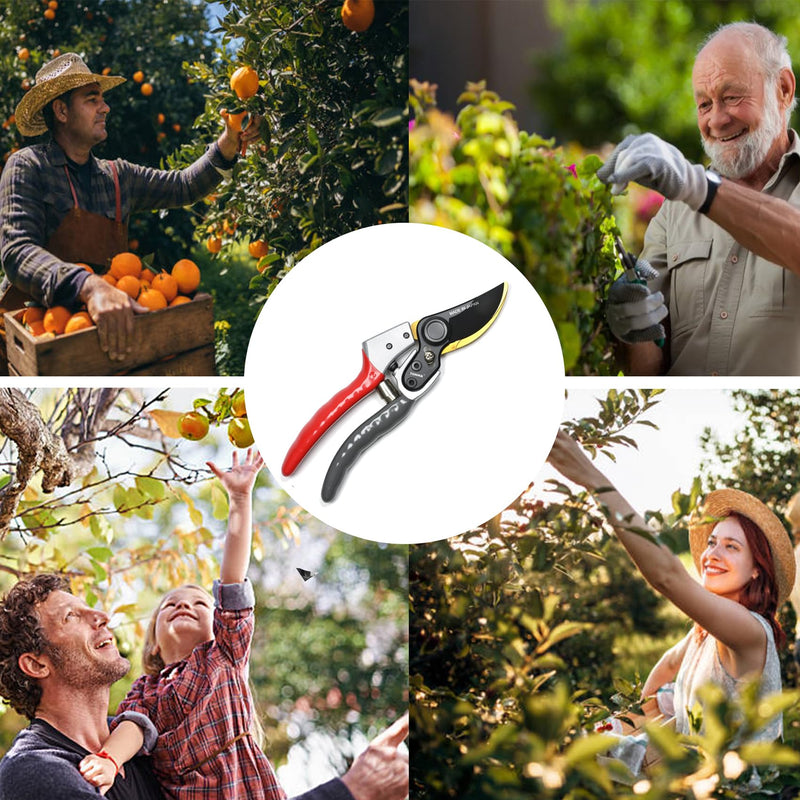 TONMA Bypass Pruning Shears [Made in Japan] 8 Inch Heavy Duty Garden Shears for Gardening, Professional Hand Pruners Garden Clippers with Japanese SK4 Steel Blades, Ergonomic Non-Slip Grip Bypass Pruning Shears Heavy Duty