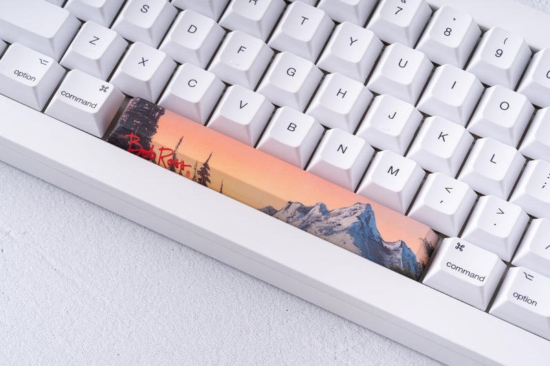Officially Bob Ross Keycaps -Panoramic Scenic Spacebars& Escape Key with Dye-Sublimated Art, 1.5mm Thick PBT, Cherry Profile- 6.25u and R1 1u MX Compatible 4 Scenic Spacebars & Bob Ross Esc Key Bundle