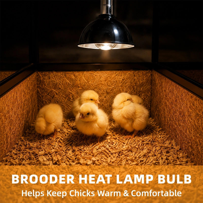 250W Clear Heat Lamp Bulbs, 8000 Hours Rated, R40 Bathroom Shower Incandescent Light Bulb, Infrared Heating for Chickens, Reptiles, Pets, Food, E26 Base, 4 Pack White