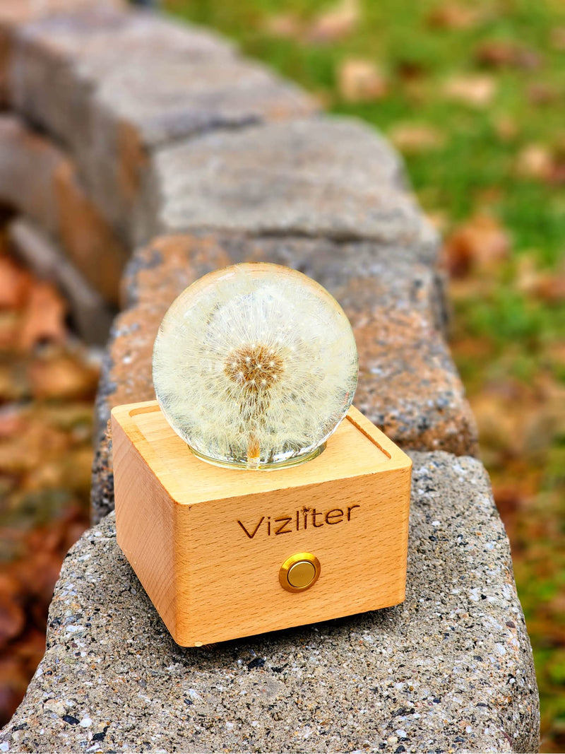 Vizliter Bluetooth Speaker Crystal Ball 65mm LED Lighting Premium Preserved Natural Flower with Wood Base Never Withered Eternal Night Light Audio Portable (Dandelion) Dandelion