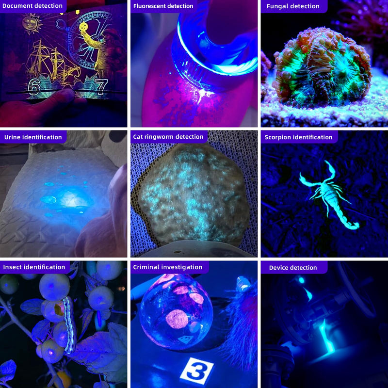 LIGHTFE UV305 High-Power UV Flashlight USB Rechargeable, Used for Hunting Ore, Scorpion and UV Glue Curing, Checking Pet Urine Stains, Identifying Currency, Official Anti-Counterfeiting Documents… UV305D