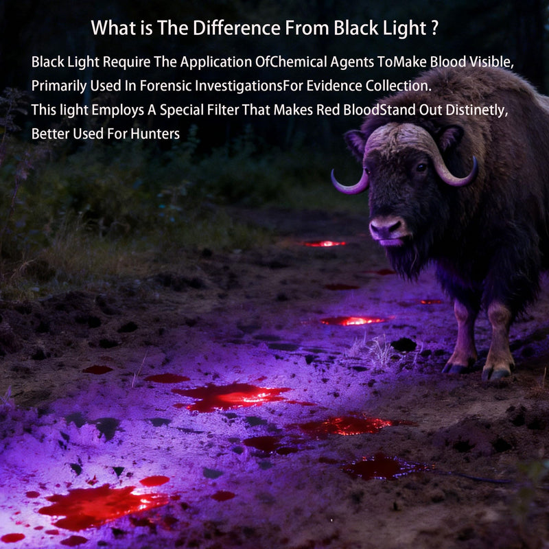 3V LED Bead, 395nm UV, Blood Tracking Light for Hunting Deer, Special Filter Highlights Blood Trail, Flashlight for Wounded Prey Detection，10W high Power,Waterproof IPX8