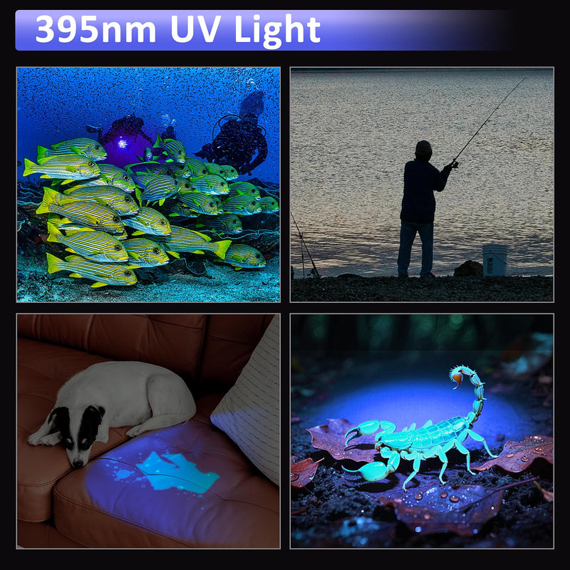 WINDFIRE Dive Light, 395 nm UV Scuba Flashlight, Waterproof Black Light Flashlight with Power Indicator for Scuba Diving, Underwater Fluorescence & Pet Urine Detection TS08_Purple Light