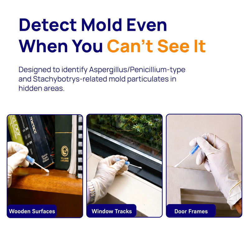 Healthful Home 5-Minute Mold Test Kit - Easy At-Home Mold Detection for Aspergillus/Penicillium & Stachybotrys, DIY Testing for Indoor Air & Moist Areas, No Lab Required, Includes Expert Consultation 1 Pack