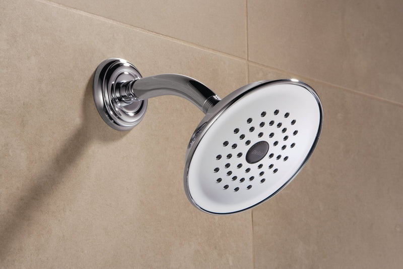 DELTA FAUCET Rubber Limited RP42578 Single-Setting Showerhead, Chrome