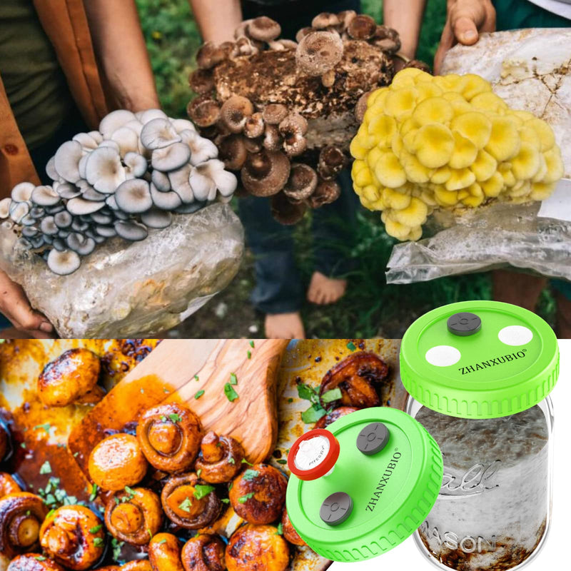 Mushroom Jar Liquid Culture Lid Wide Mouth Rejular Mouth Food Grade Plastic Mason Jar Lid with PTFE Membrane & Self Healing Injection Ports For Mushroom By ZHANXUBIO (12Pcs-Green) 12Pcs-Green