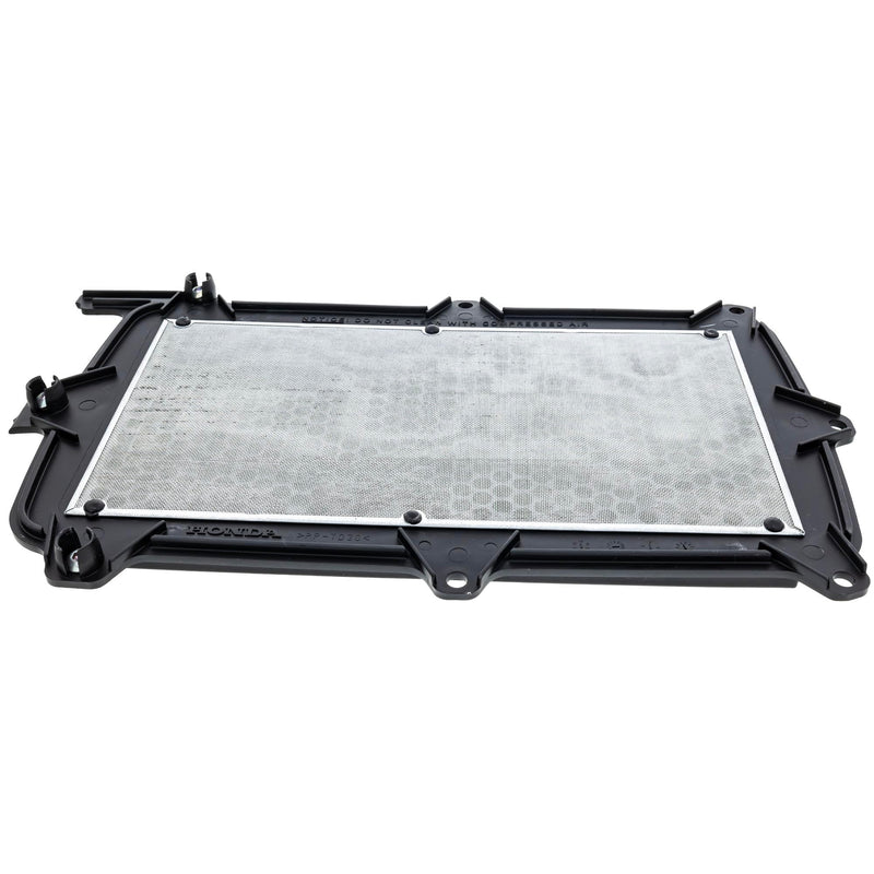 Honda Talon 1000 OEM Air Filter 17215-HL6-A00