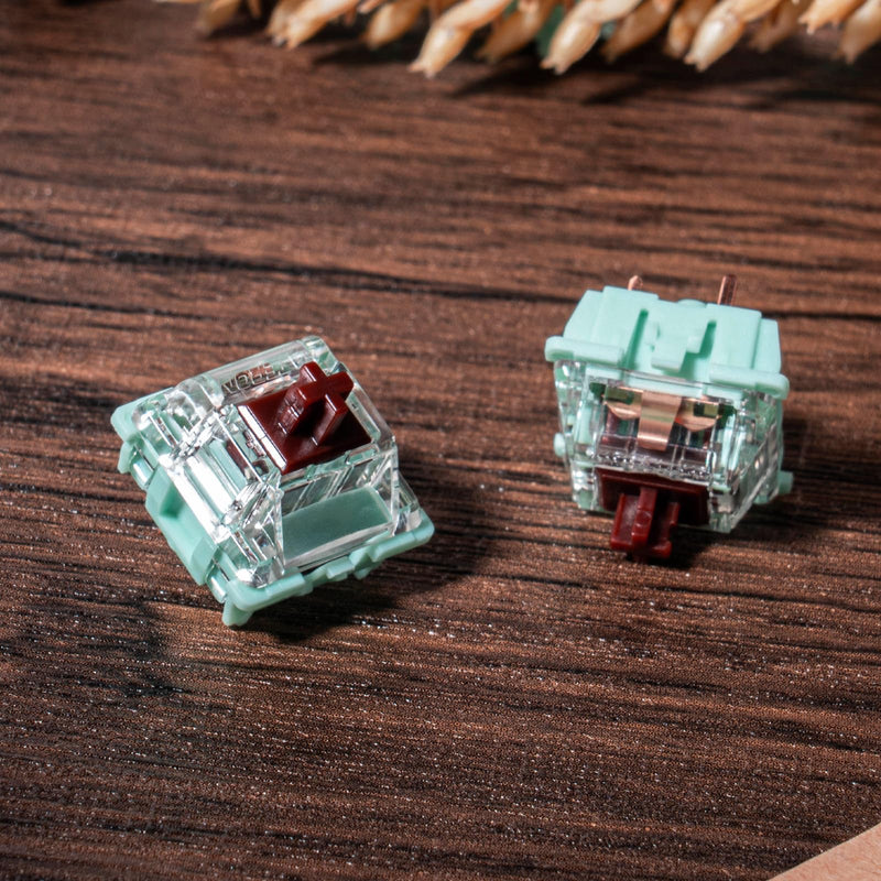 Gateron Jade Series Pre-Lubed Tactile Brown Keyboard Switch,3-Pin 55gf Double Spring Switches for MX Gaming Mechanical Keyboard(Jade Brown,10PCS) 10PCS Jade Brown