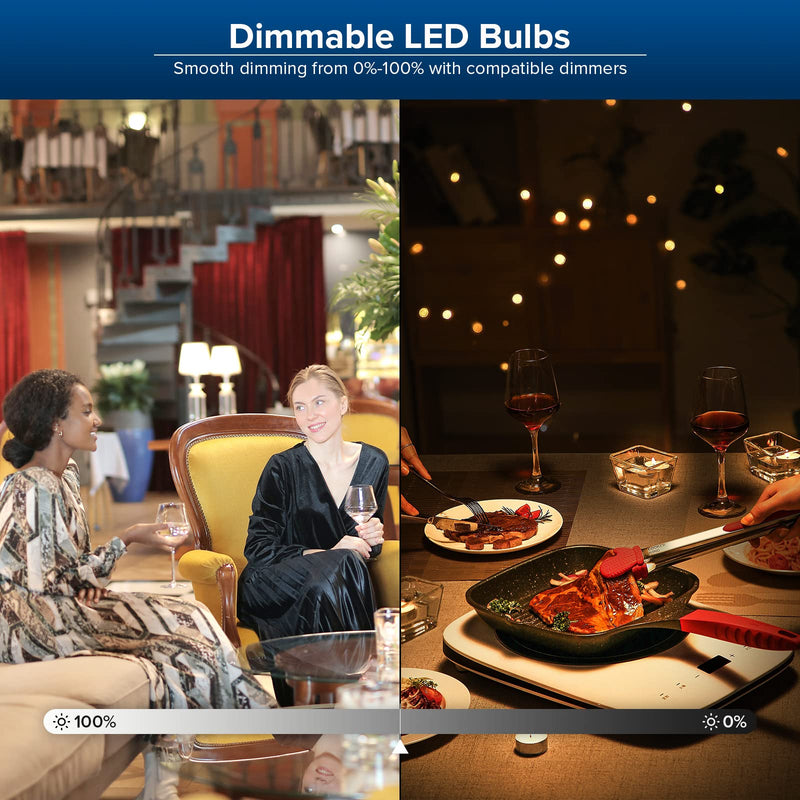 SANSI Dimmable LED Light Bulbs, 250W Equivalent Large A21 E26 4000LM 5000K Daylight, 27W Flicker Free, Super Bright, CRI 85, 22-Year Lifetime Ceramic Energy Saving for Home Office, 2 Pack 2 Count (Pack of 1)