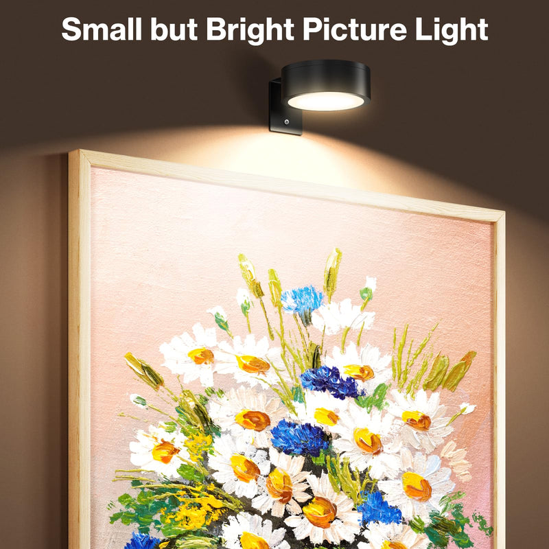 Cadrim Picture Light Wall Light 3 Pack Rechargeable with Remote 12 RGB Colors Dimmable Timer Magnetic Wireless Art Display Lighting for Painting Photo Frame Poster (Black, Renter Friendly) Black