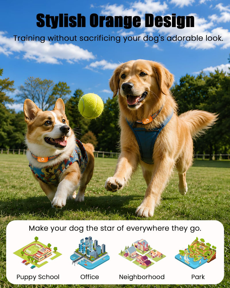 Shock Collar for Dogs Orange, 2600FT Dog Shock Collar for 10-120lbs | Beep Vibration Shock Dog Training Collar with Remote, Security Lock, Rechargeable IPX8 Waterproof, Fits 10-120lbs Dogs 1x Dog (Orange)