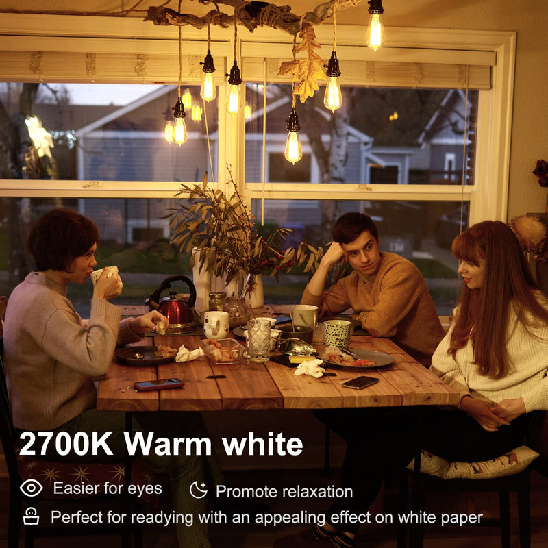 TJOY 10 Pack Vintage 8W ST58 LED Edison Light Bulbs, Dimmable, 60W Equivalent, 800Lumens, 2700K Warm White, E26 Base LED Filament Bulb, CRI80+, Antique Glass Style for Home, Bedroom, Office, Farmhouse 10 Pack - 8W