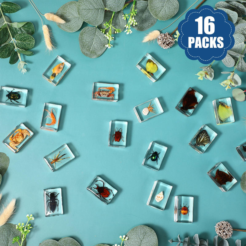 16 Pcs Ocean Animal Insect in Resin Specimen Bugs Collection Paperweights，16 Styles Real Bug Specimen Bug Kit Preserved in Resin for Scientific Educational Display Supplies (Ocean)