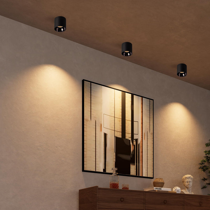 Aisilan LED Downlight Spotlight Indoor 18W Dimmable Aluminum Ceiling Directional Spots Light Flicker-Free Warm White 3000K Accent Fixture for Corridor Panting Living Room Bedroom (Black) Black 18W-3000K-Dimmable