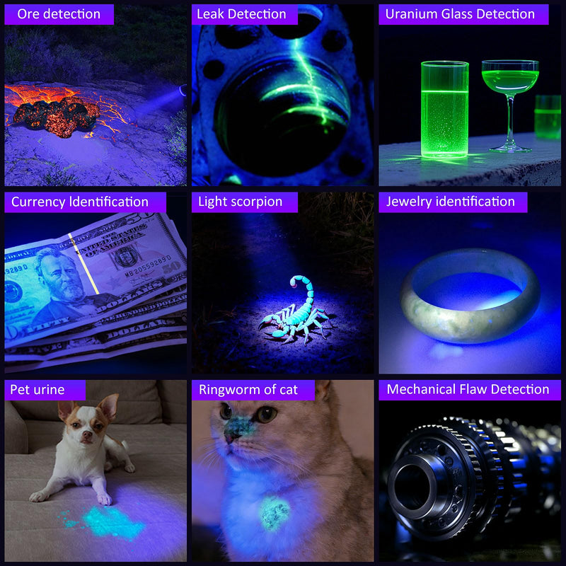 365nm UV Flashlight Black Light Rechargeable, Powerful Blacklight Flashlights, Portable UV Light for Pet Urine Detection, Resin Curing, Rocks, Bed Bugs, Scorpion, Yooperlite, Uranium Glass, AC Leak