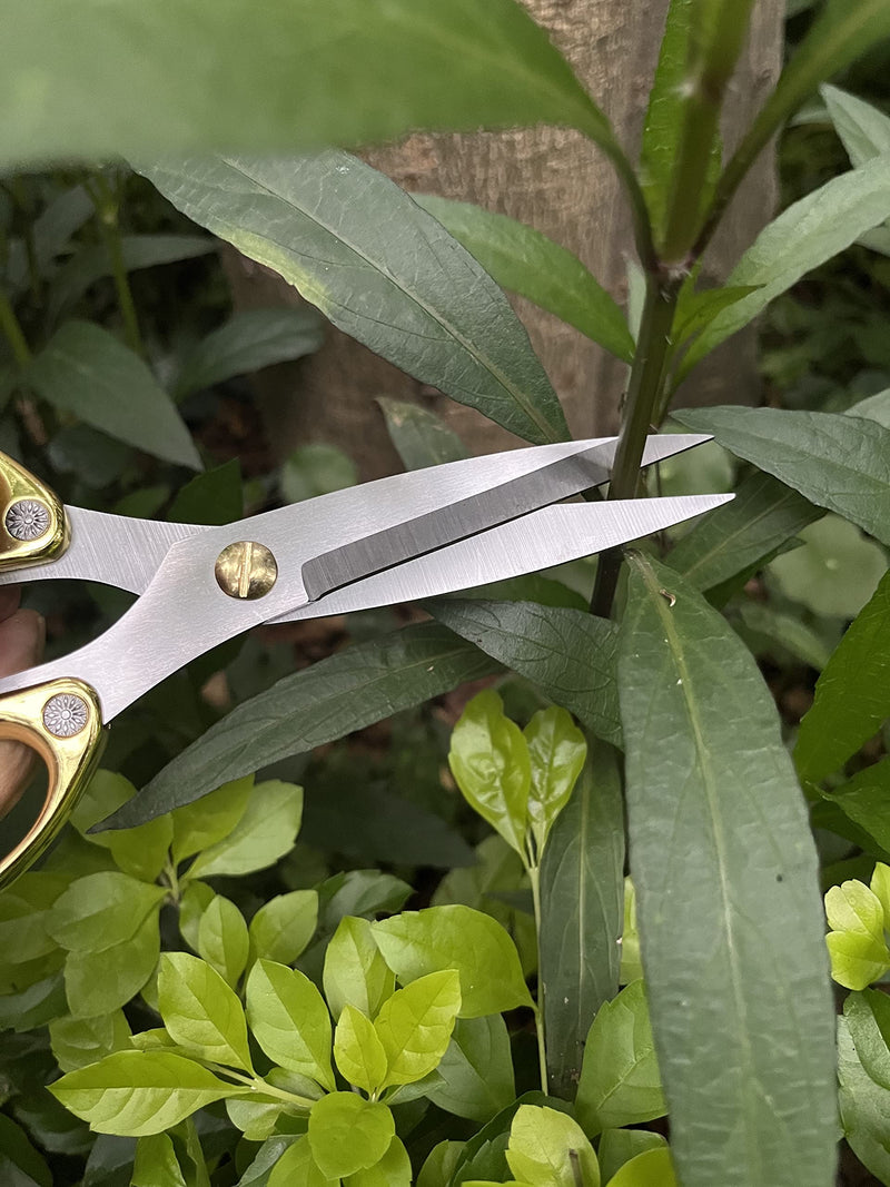 Japanese Garden Clippers, Houseplant plant shears, Floral Pruner Botanical Flower Stem scissors, Gardening Shears with Straight Stainless Steel Blades, Easy Use Garden Tools (golden-k26) golden-k26