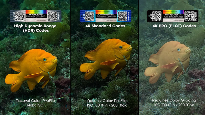 Underwater Video Guide (3-Card Package) with QR Code Camera Settings for use with GoPro HERO9, HERO10, HERO11, HERO12, HERO13, and Mission Cameras.