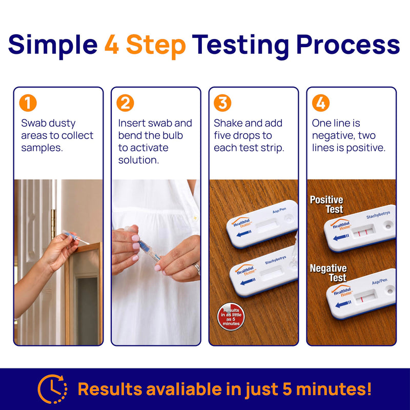 Healthful Home 5-Minute Mold Test Kit - Easy At-Home Mold Detection for Aspergillus/Penicillium & Stachybotrys, DIY Testing for Indoor Air & Moist Areas, No Lab Required, Includes Expert Consultation 1 Pack