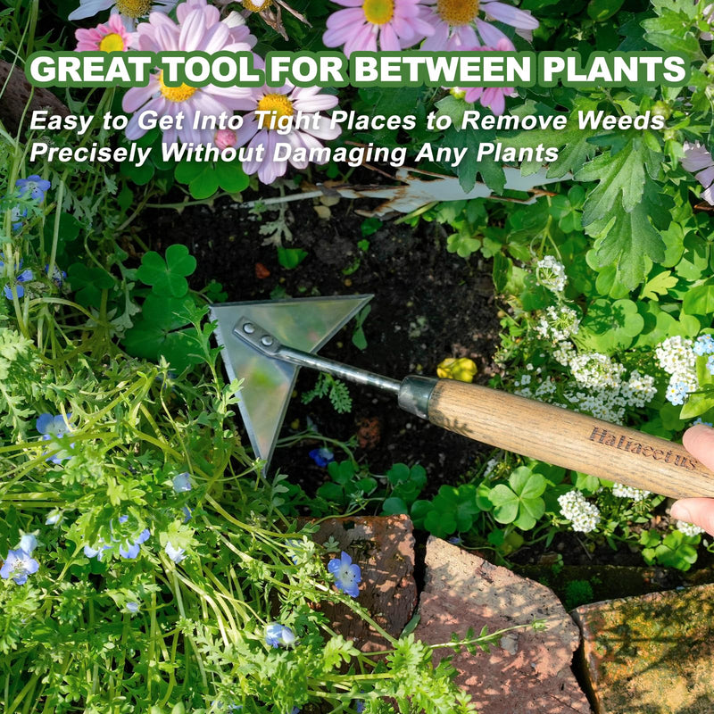 Haliaeetus Triangle Head Hoe, 15'' Scuffle Hoe for Weeding Precisely in Raised Bed, Stainless Steel Rogue Hoe for Weeding in Push-Pull Motion, Push Pull Hoe with Compact Size for Weeding Between Plant 15'' Triangle Head Hoe