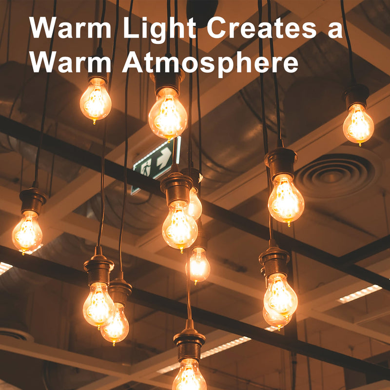 Warm Incandescent Light Bulbs 60 Watt,A19/A60 Vintage Style Edison Bulbs E26,Soft Yellow Light Bulbs,Amber Bulbs,Retro Light Bulb Old Fashioned,Halogen Dimmable Edison Bulb Squirrel Cage 12 Pack Amber Glass-2100k 12 Count (Pack of 1)