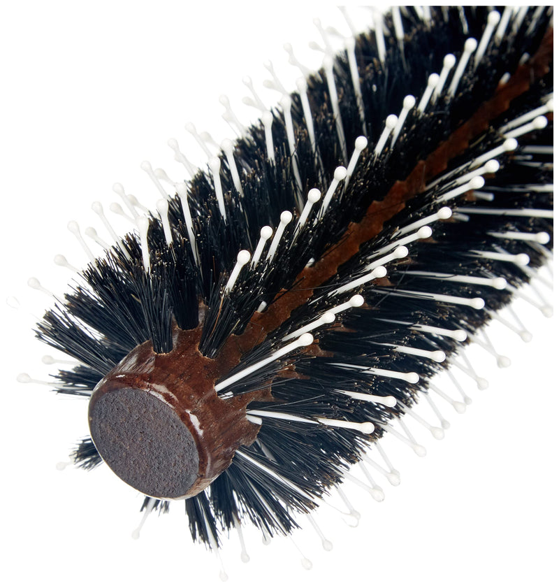  [AUSTRALIA] - Hercules Sägemann Saw Man Shaper Well Brush 20/54 mm Ã˜, 12 Columns Ø 55 mm (1er Pack)
