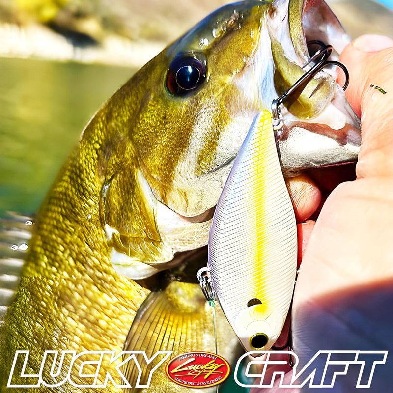 LUCKY CRAFT LV-150, Freshwater Bass Fishing Lure, Lipless Crank Bait, Smallmouth, Sinking, Tournament Winning, Perfect Wobbling, Fishing Gear, Fishing Accessories, Fishing Tackle 052 Aurora Black