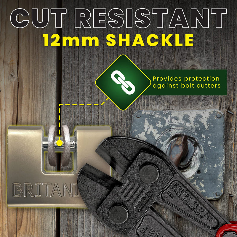 Britanium® BRP74 [Armoured] High Security Padlock - [Anti Drill Cylinder] - Heavy Duty Lock for Storage Unit with 0.67” Shackle Clearance, Motorbike, Shed & Garage Silver 74 mm 5 Keys