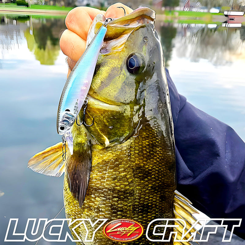 LUCKY CRAFT Pointer 100SP, Jerkbait Side by Side Action Tournament Winning Perfect Wobbling Freshwater Lake Bass Fishing Champion Bait 074 Chrome