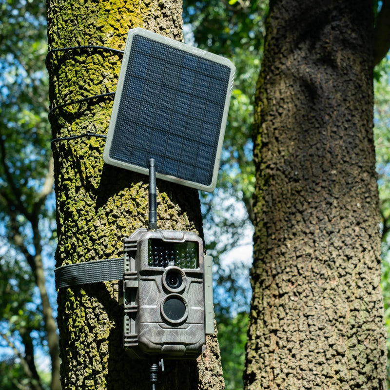 GardePro SP300 Solar Panel, 3.5W, 5.5x2.1mm DC Plug, for Rechargeable Trail Cameras GardePro E6P, E6PCF, E8P, E8PWF, X50P, X60P, X60PMB, X60PLMB