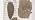 Sand Fixing Agent Spray, Powerful Sand Curing Spray for Wall & Floor (3) 3