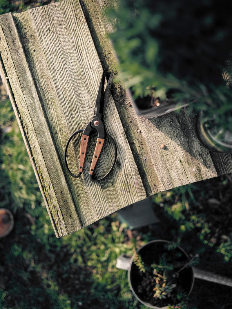 Barebones Garden Scissors - Walnut Scissors - Garden Supplies and Indoor Plant Accessories - Plant Shears with Wide Handles - Comfortable Fit Hand Pruners (Large) Large Garden Scissors
