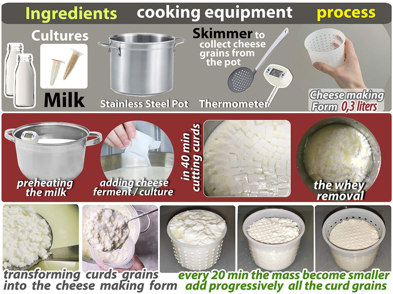 PetriStor 10pcs Small Cheese Mold for Cheese Making 1/3 qt - Soft Cheese Molds - Homemade Cheese Making Supplies - Cream Cheese Form Mold - Moldes Para Queso Fresco Casero - Feta Cheese Making