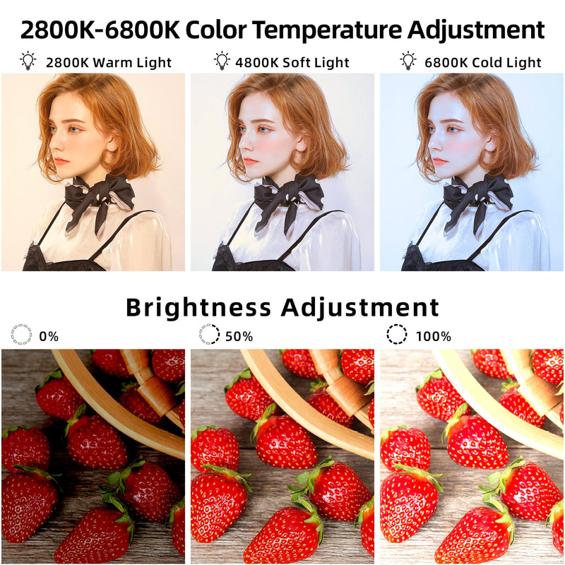 VILTROX 18W LED Video Light on Camera Light with App Control 2800K-6800K CRI95+ 198 LED Beads Cold Shoe Portable Photography Photo Lighting Panel Video Light with NP-F550 Rechargeable Battery