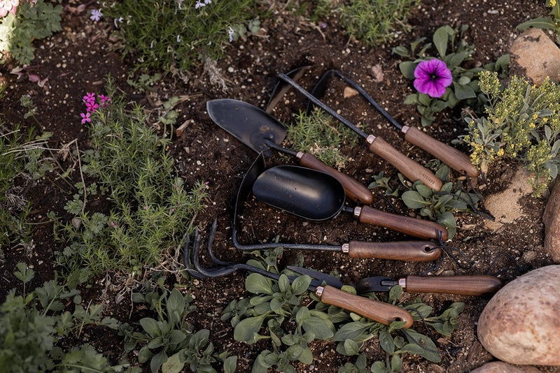 Barebones Garden Scoop - Garden Spoon - Stainless Steel Small Hand Shovel for Transplanting, Digging, and Planting - Great Home Gardening Hand Tools (Walnut/Black) Walnut/Black