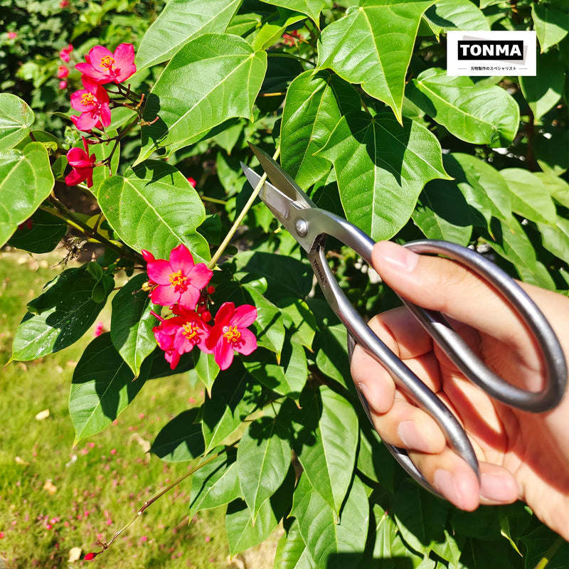 TONMA Ashinaga Bonsai Scissors [Made in Japan] 8 inch Soild Stainless Steel Hasami Pruning Shears Ultra Sharp & Rust-proof, Japanese Bonsai Garden Tools Ashinaga Bonsai Shears