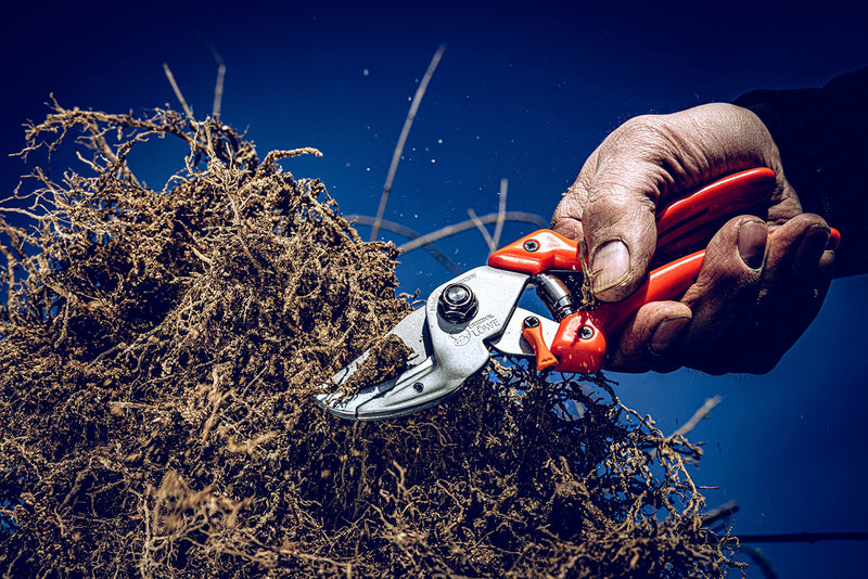 Original LÖWE Profi Anvil Prunner Garden Tools 8.107 with Bypass Geometry | Robust & Sharp Hedge Trimmer | Use as Pruners, Garden Shears, Handheld, Pruning Shears for Gardening | Made in Germany