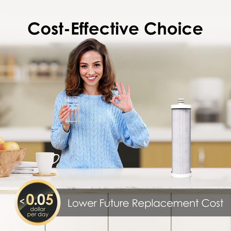 Waterdrop WF08 Under Sink Replacement Water Filter, Replacement for Waterdrop AS08/BS08/AMS08, 8000 Gallons, Reduces Chlorine, Lead, Heavy Metals, Bad Taste Replacement Filter