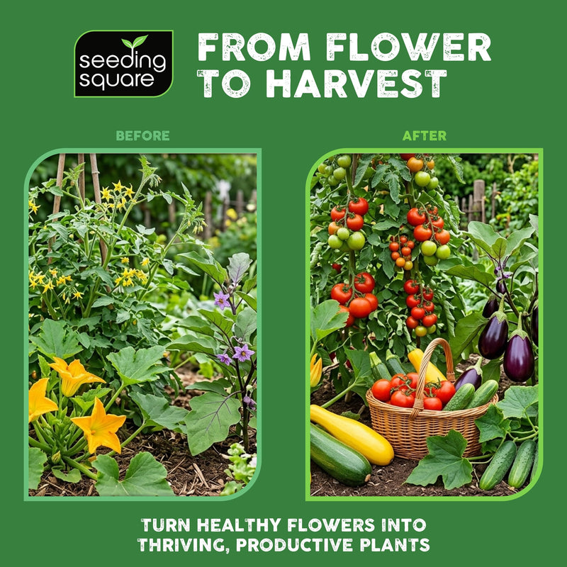 Seeding Square Handheld Pollinator Tool for Vegetable Gardening – Soft Silicone Brush, Manual Gardening Tool for Indoor and Outdoor Use, Boosts Garden Yields