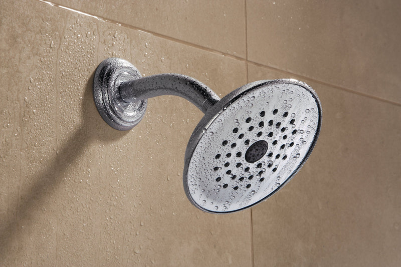 DELTA FAUCET Rubber Limited RP42578 Single-Setting Showerhead, Chrome