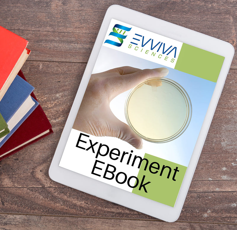 LB Agar Plates - Evviva Sciences - Prepoured Luria-Bertani Agar (LB) Petri Dishes - General Purpose Media - Top Science Kit for Science Fair Projects!