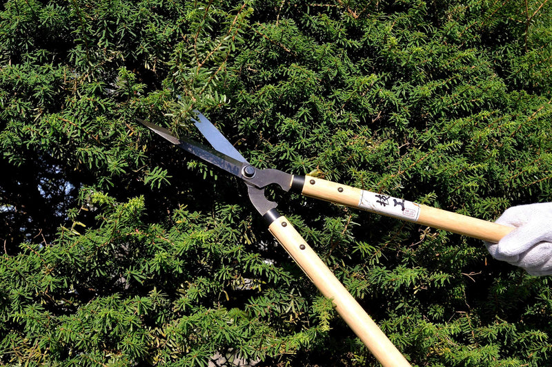 KAKURI Japanese Hedge Shears Small 20", Professional Mini Hadge Clippers for Trimming Bush and Border, Heavy Duty Handheld Compact Size, Made in Japan 20" Compact