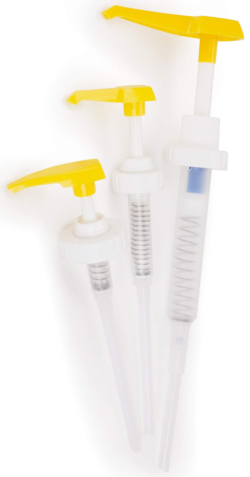 WEST SYSTEM 300 Mini Pump Set No Size