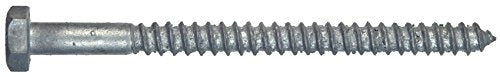 The Hillman Group 812024 Hot Dipped Galavanized Hex Lag Screw, 1/4 X 5-Inch, 100-Pack