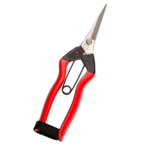 Koshiji stainless extirpation Hanabasami K-9 (japan import)